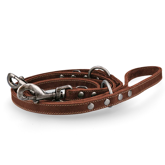 Spotted! Pro Leder Trainingsleine Braun 1,6x250cm