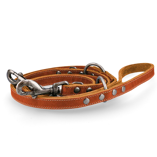 Spotted! Pro Leder Trainingsleine Cognac 1,6x250cm