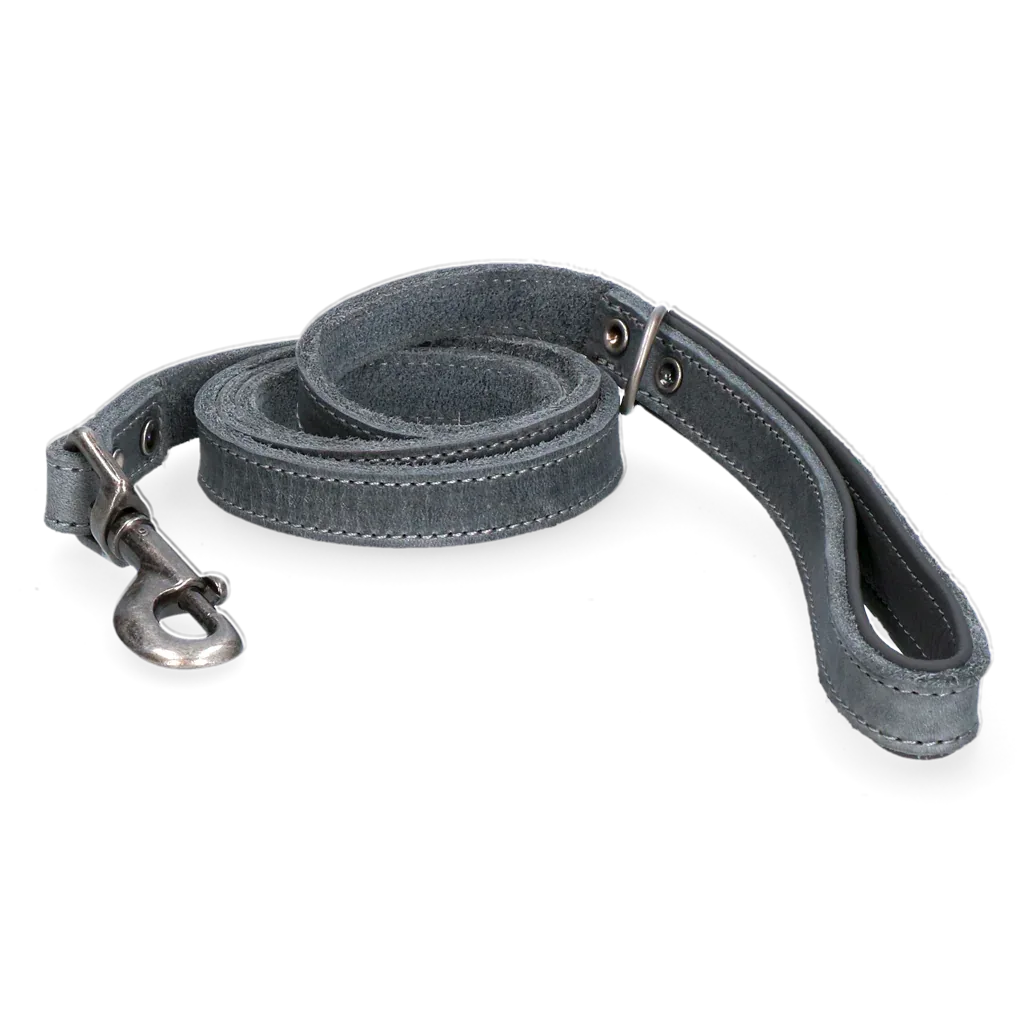 Spotted! Pro Leder Hundeleine Grau 1,8x130cm - PremiumHobby