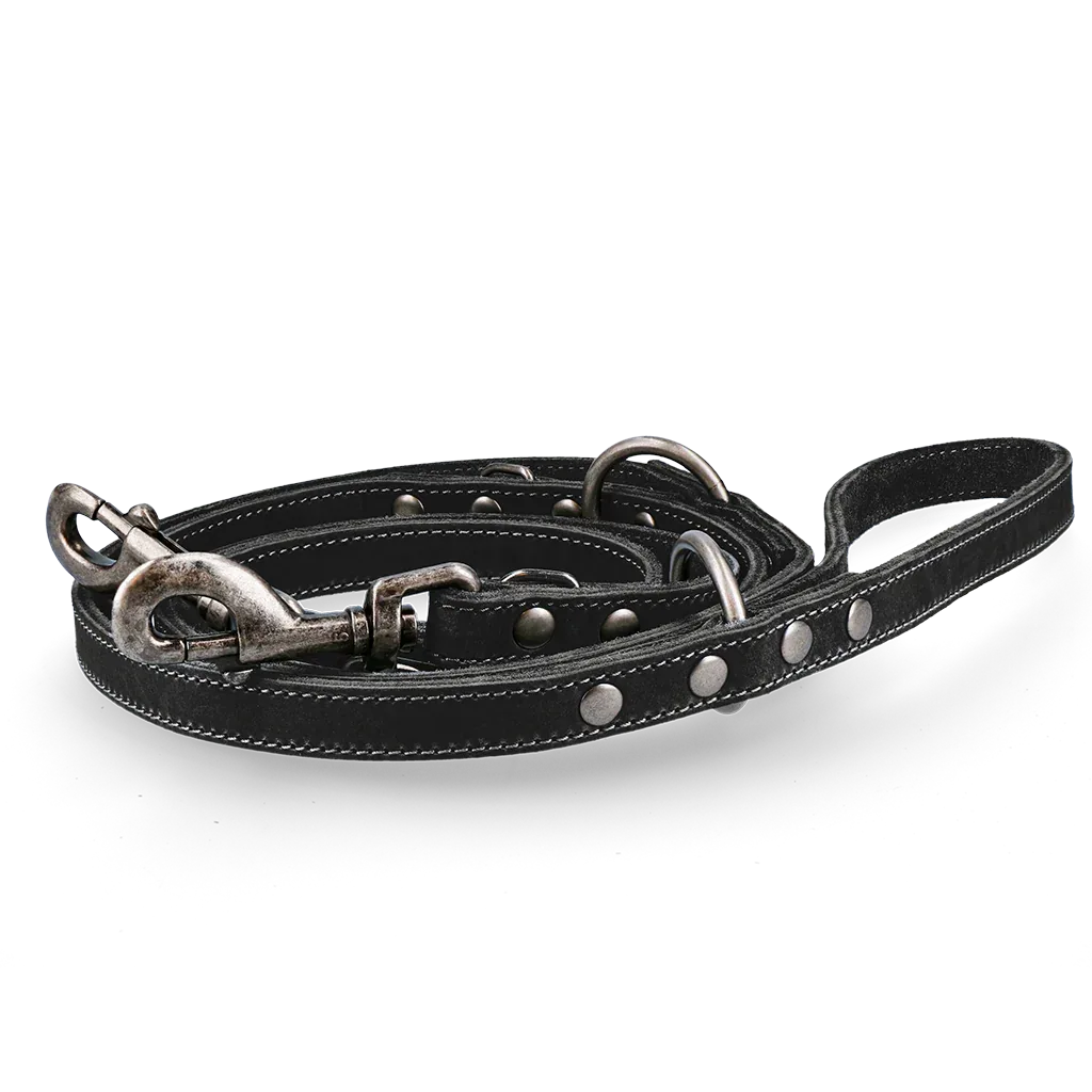 Spotted! Pro Leder Trainingsleine Schwarz 1,6x250cm - PremiumHobby