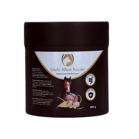 Garlic Allicin Powder EU (Knoblauchpulver)