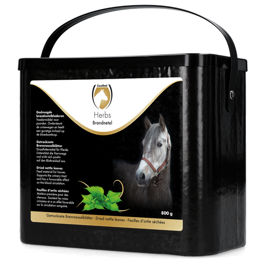 Excellent Herbs Brennnessel