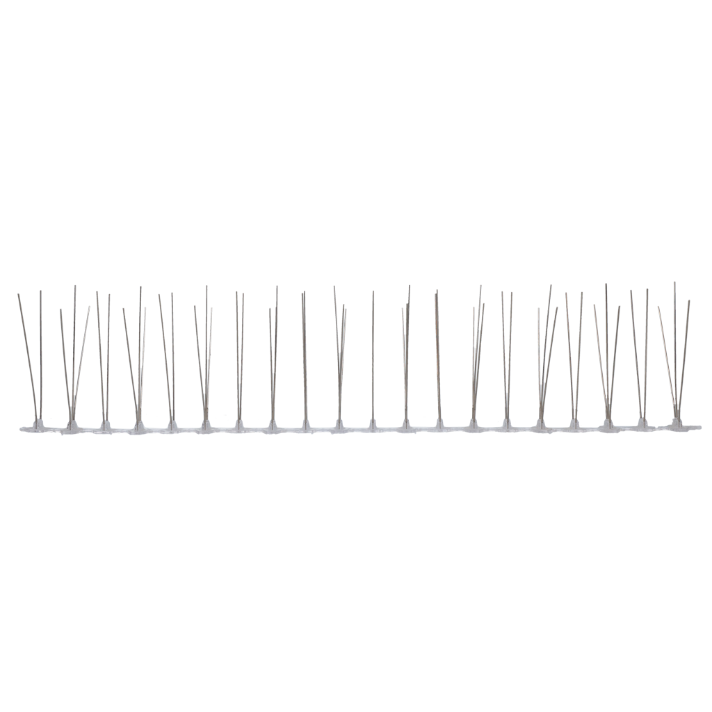 Taubennadel Kunststoff/Edelstahl 50 cm-50 Stifte