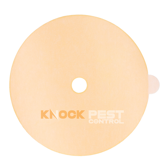 Knock Pest Klebeplatte für Insektenfalle