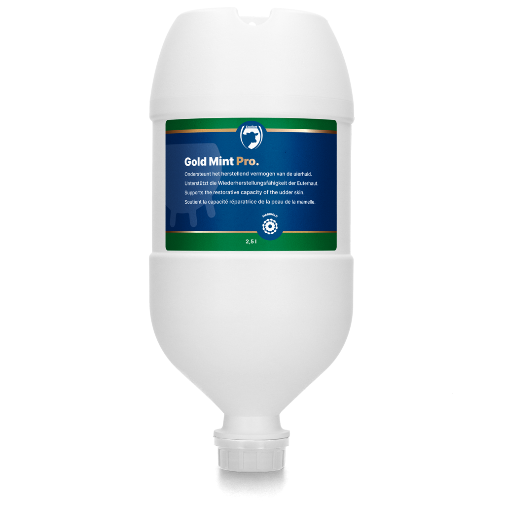 Gold Mint PRO Hängeflasche