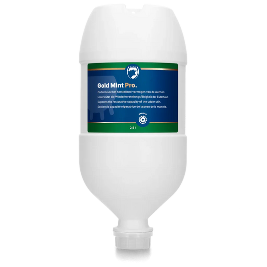 Gold Mint PRO Hängeflasche