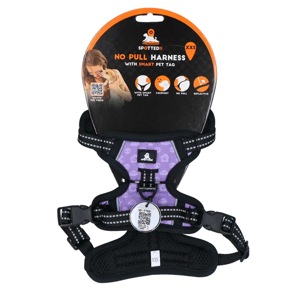 Spotted! PRO Geschirr Lila XXS - PremiumHobby