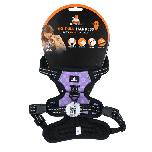 Spotted! PRO Geschirr Lila XXS