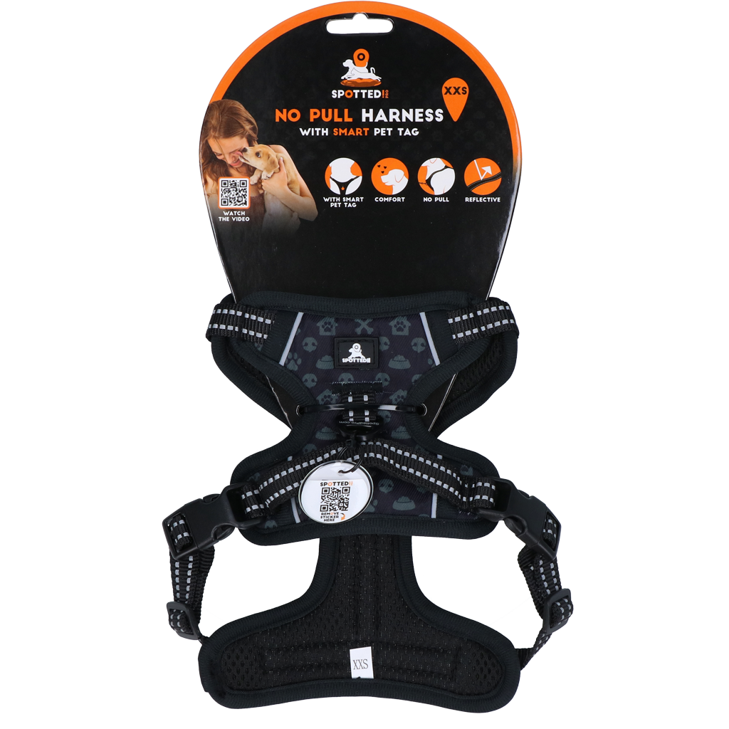 Spotted! PRO Geschirr Anthrazit XXS