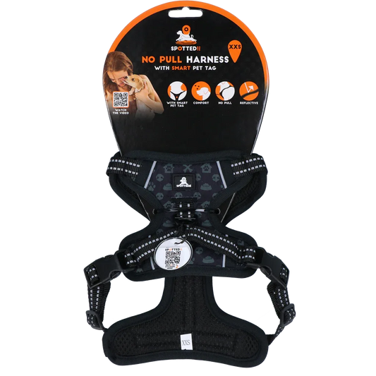 Spotted! PRO Geschirr Anthrazit XXS