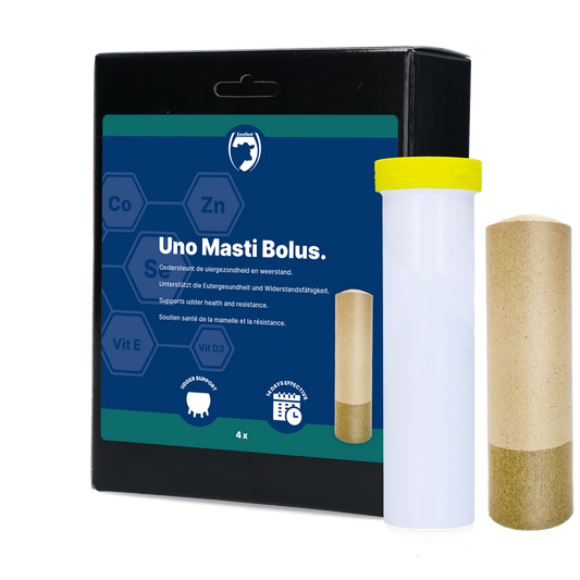 UNO Masti Bolus