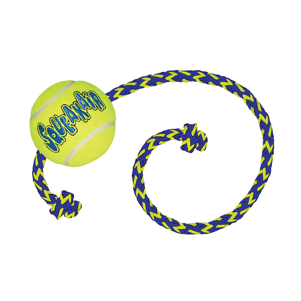 KONG Air Squeaker Tennis Ball M 6 cm mit Tau 52 cm - PremiumHobby