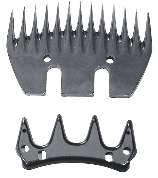 Constanta 3 B+O Schaf 4/13