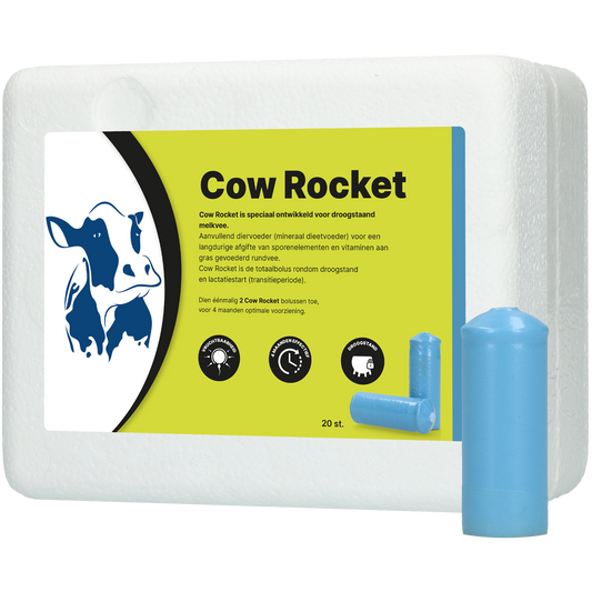 Cow Rocket