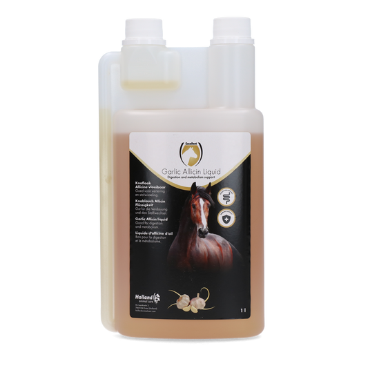 Garlic Allicin Liquid EU (Knoblauch Flüssig)