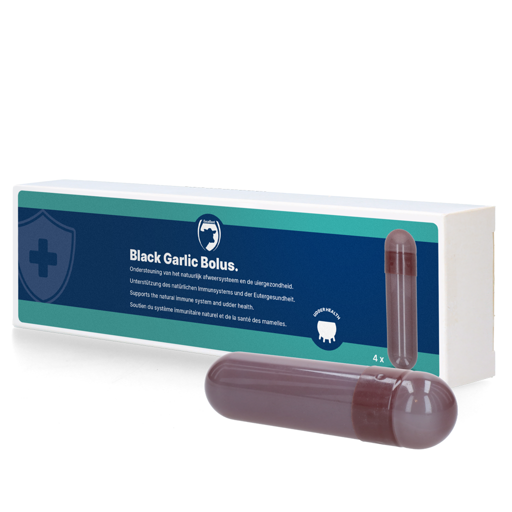 Schwarzer Knoblauch Bolus Rind