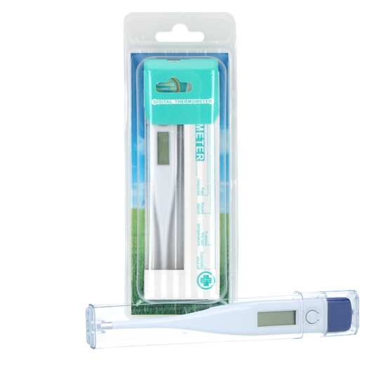 Fieberthermometer digital
