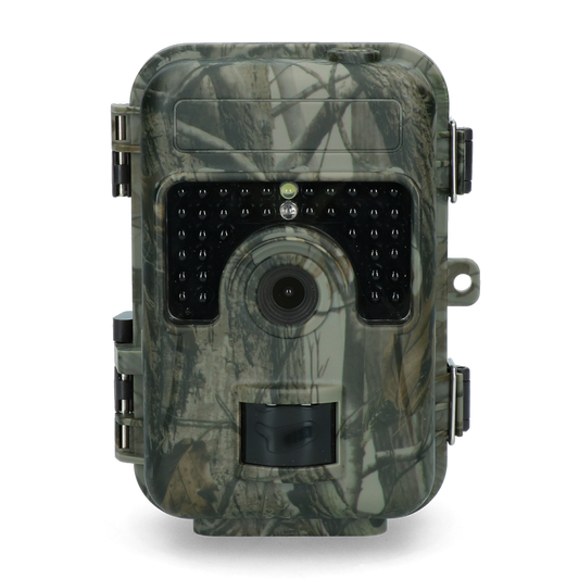 Knock Pest Observierungskamera