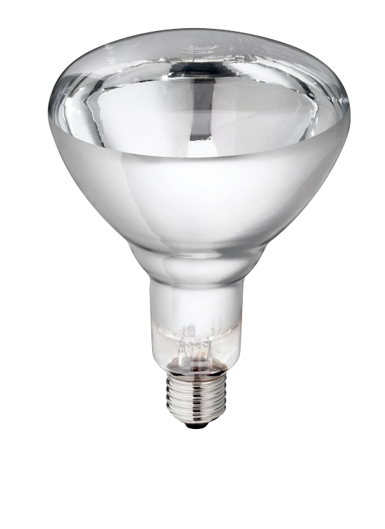 Infrarotlampe 250 Watt weiß / Hartglass Philips