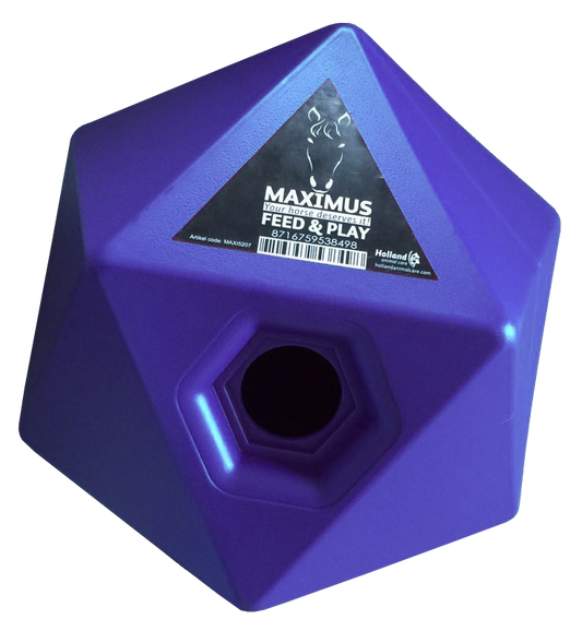 Maximus Feed &amp; Play Blau