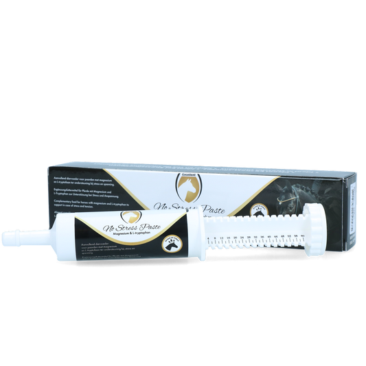 No Stress Paste Horse