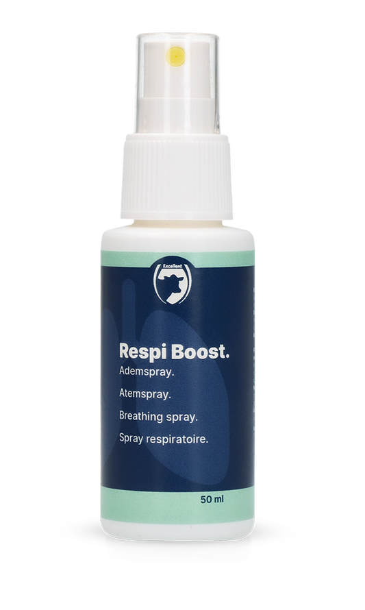 Respi Boost (Atem-Spray)