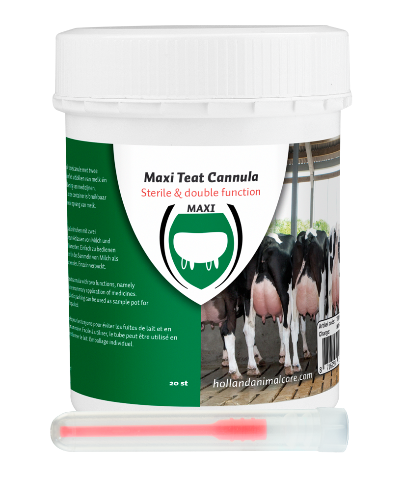 Maxi Plastik Zitzenkanüle 55 mm luer