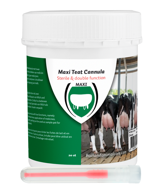 Maxi Plastik Zitzenkanüle 55 mm luer