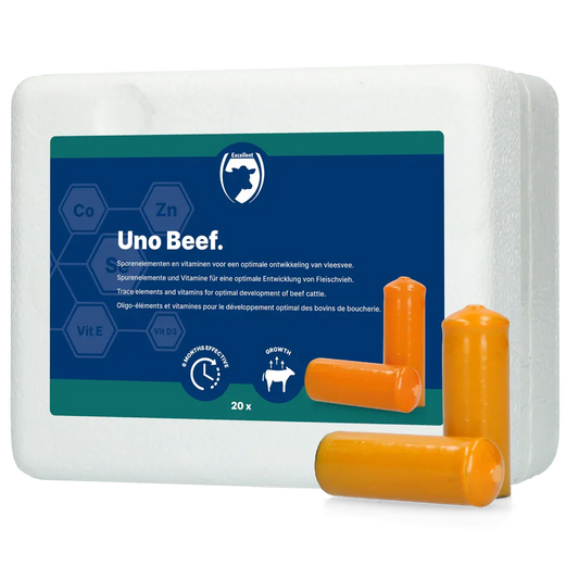 UNO (Fleischvieh)