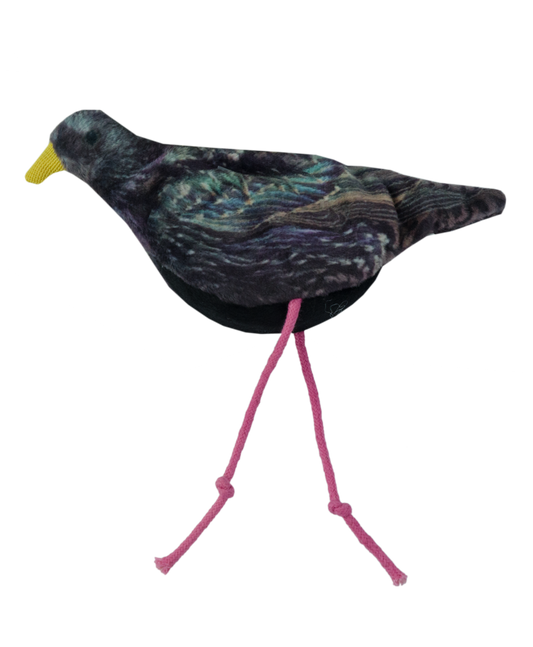 Wild Life Cat Starling (Star)