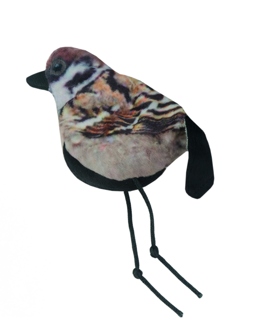 Wild Life Cat Sparrow (Spatz)