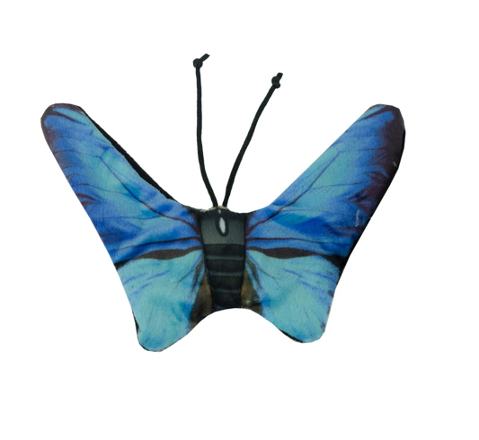 Wild Life Cat Blue Butterfly (Blauer Schmetterling)