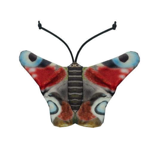 Wild Life Cat Peacock Butterfly (Tagpfauenauge)